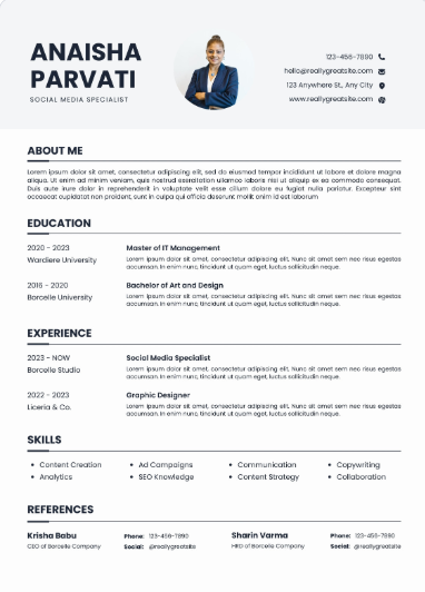Professional CV Sample 27